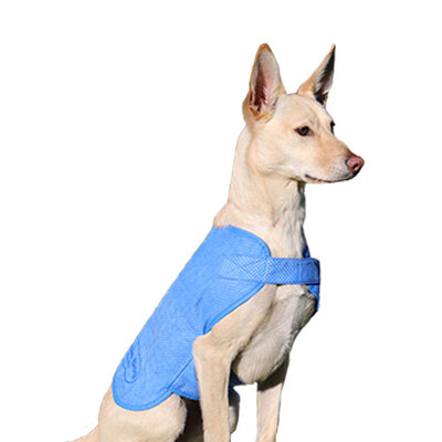 Aussie Dog Wet Vest Cooling Coat