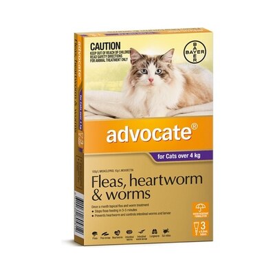 ADVOCATE 3 PACK FOR CATS OVER 4KG, FLEA, HEARTWORM & INTESTINAL WORM SPOT-ON