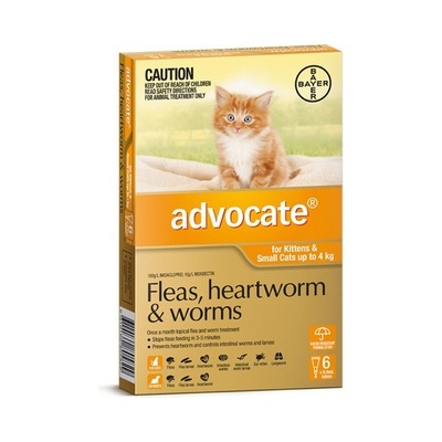 Advocate for Kittens and Small Cats up to 4kg 6 pack (Orange)