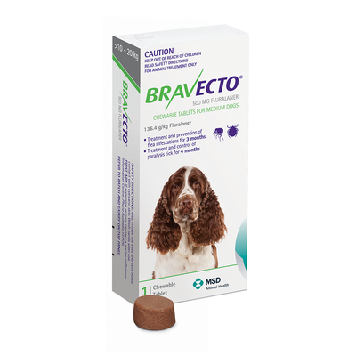 Bravecto Medium Dog Green 10-20kg 500mg 3 Months Flea Protection