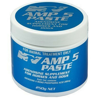 Ceva AMP 5 Paste 250g for Horses and Dogs