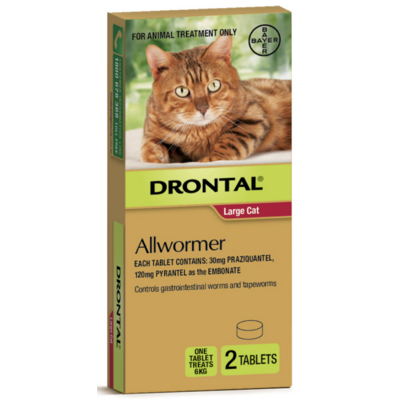 Drontal Allwormer For Large Cats up to 6kg